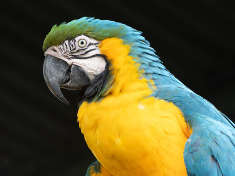 Zoo Das Aves-Pocos de Caldas必去景点