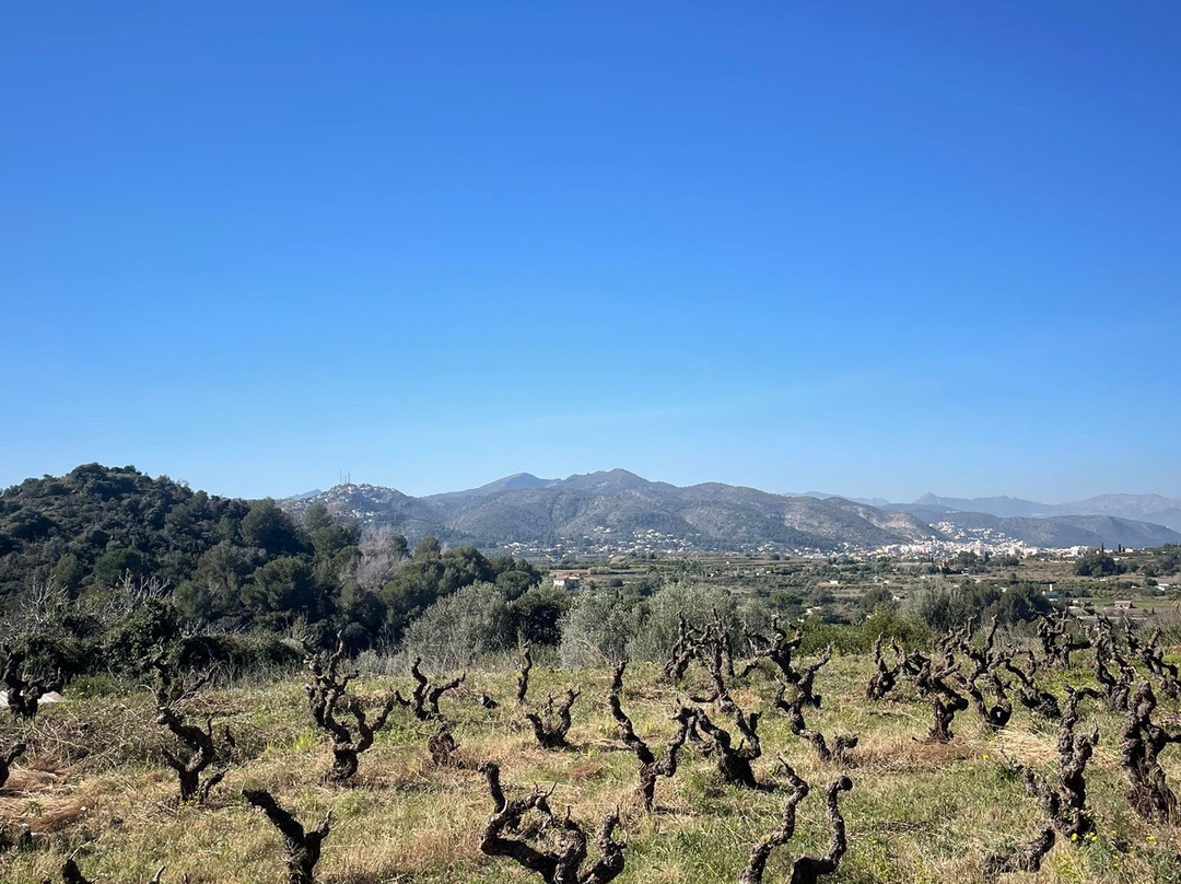 Denia Bike Tour-Dénia必去景点