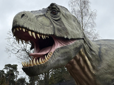 Het Oertijdmuseum-Boxtel必去景点