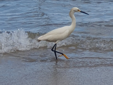 Cordas Beach-Governador Celso Ramos必去景点