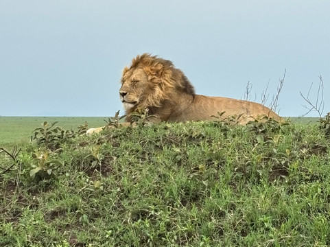 Shayona Safaris & Tours-姆万扎必去景点