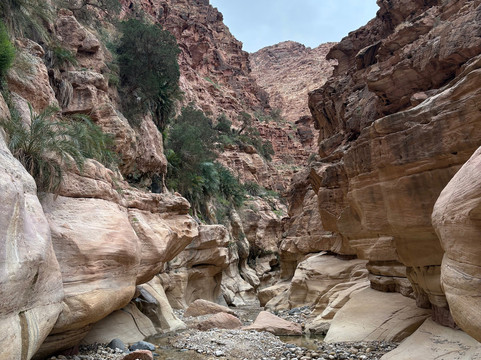 Jordan Trail Adventures-佩特拉必去景点