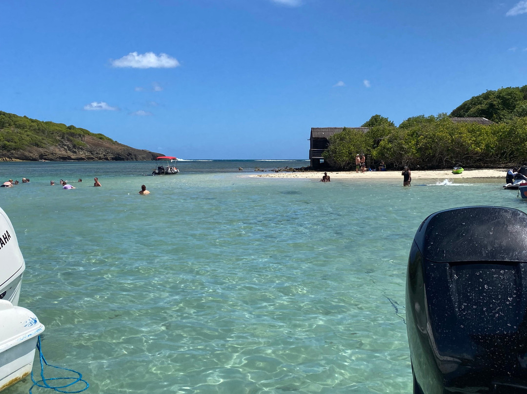 Capitaine Titi Balades en Mer-La Trinite必去景点