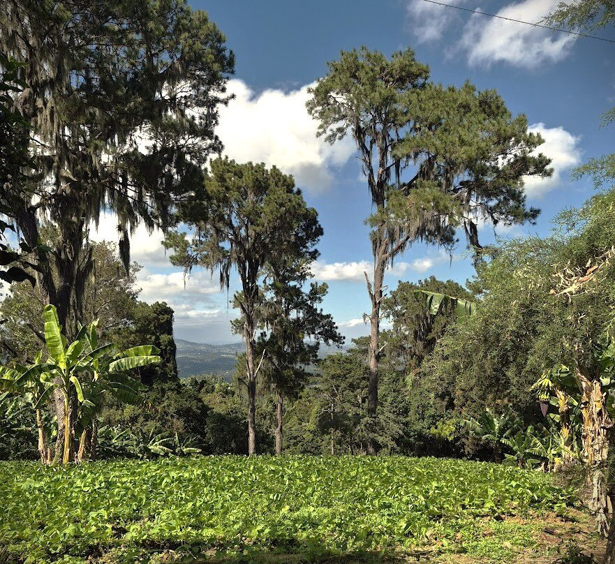 Salto De Jimenoa Uno-Jarabacoa必去景点