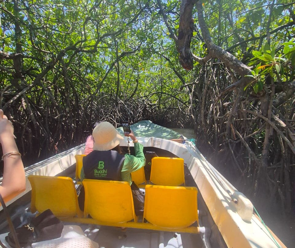 Browny Tours-Poddala必去景点