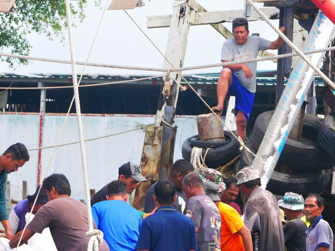 Kuantan River Cruise-关丹必去景点