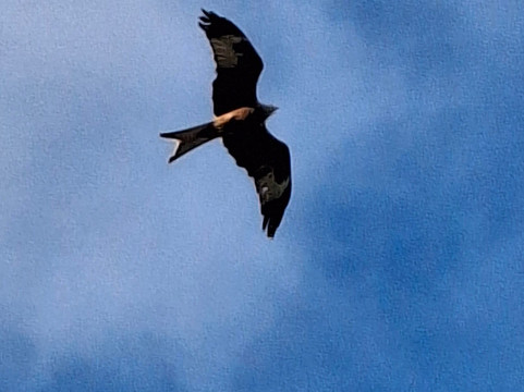 彭诺斯公园酒店主图