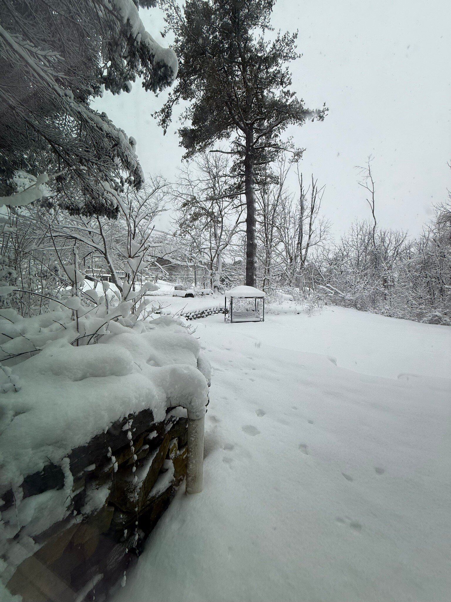 高山之家民宿旅馆-官方