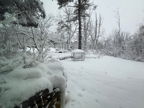 高山之家民宿旅馆主图