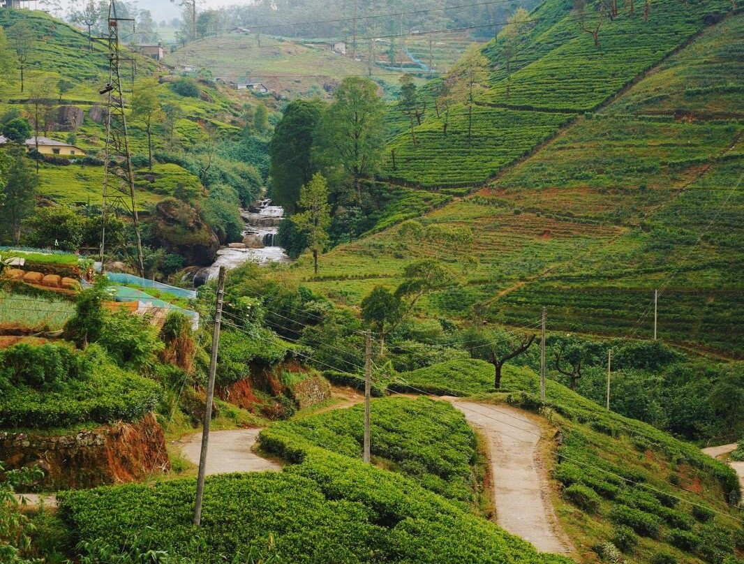 Ceylon Escapes-科伦坡必去景点