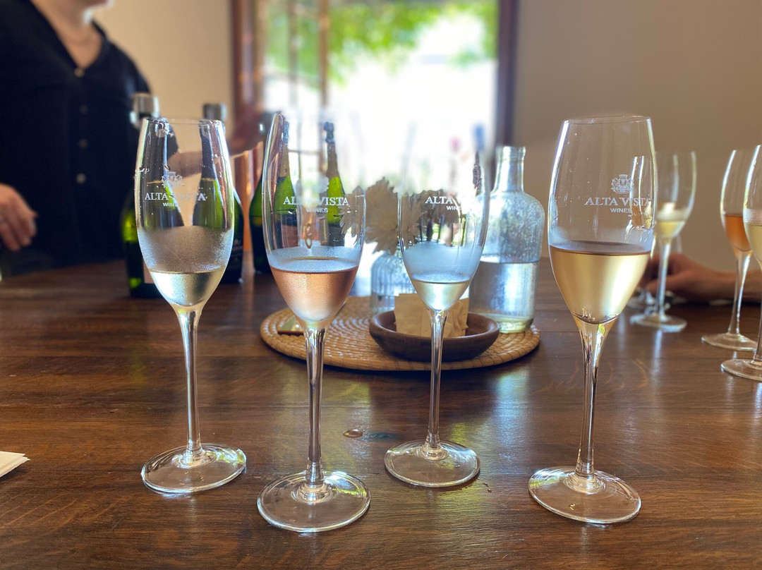 SAK Wine & Travel-门多萨必去景点