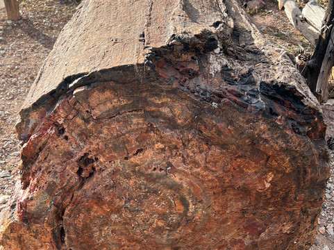 Grand Canyon Caverns-皮奇斯普林斯必去景点