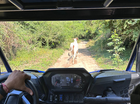 Nayari Expedition-Valle de Banderas必去景点