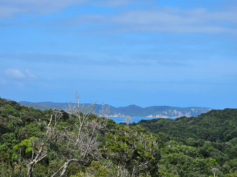 Muelle de las Almas-Cucao必去景点