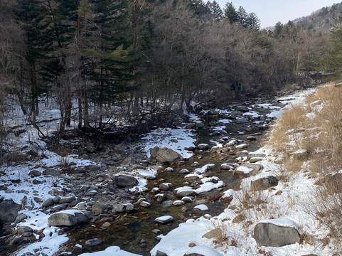 Woljeongsa Temple-平昌郡必去景点