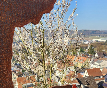 terroir f Churfranken-埃兰巴克必去景点