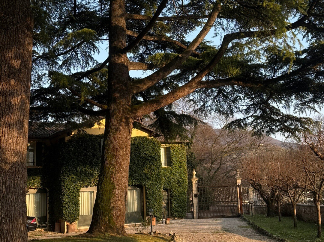 博尔戈27号住宿酒店主图