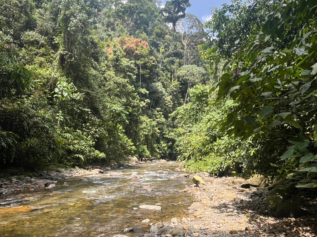 Sumatra EcoVentures-武吉拉旺必去景点