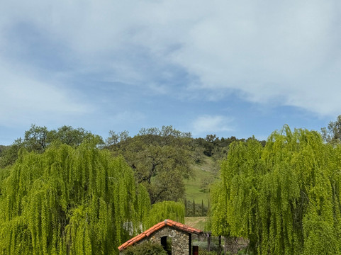 Saracina Vineyards-Hopland必去景点