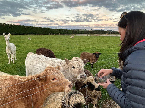 Woodstone Farm, Te Anau, New Zealand-蒂阿瑙必去景点