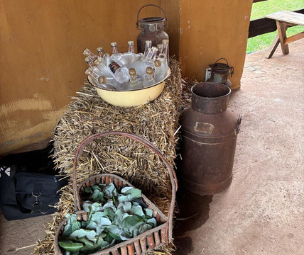 Diamond X Cowboy Ranch-Rayton必去景点