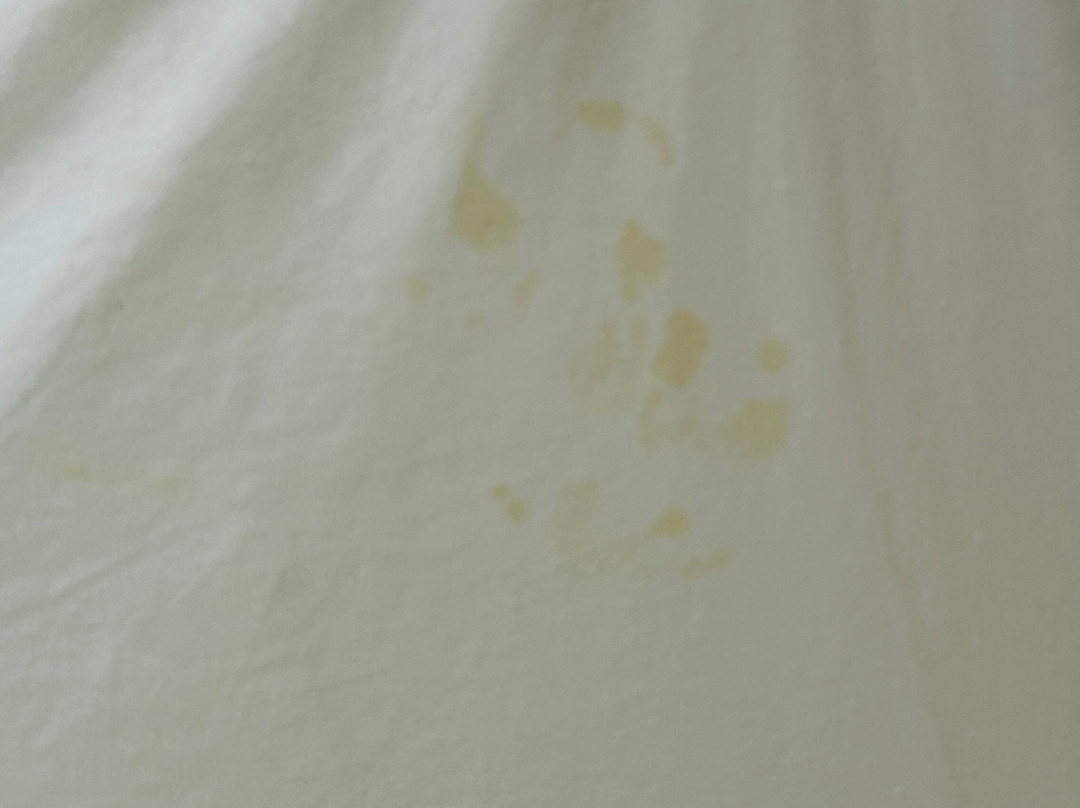 哈里森酒店 – 精选酒店集团旗下 Ascend Hotel Collection主图