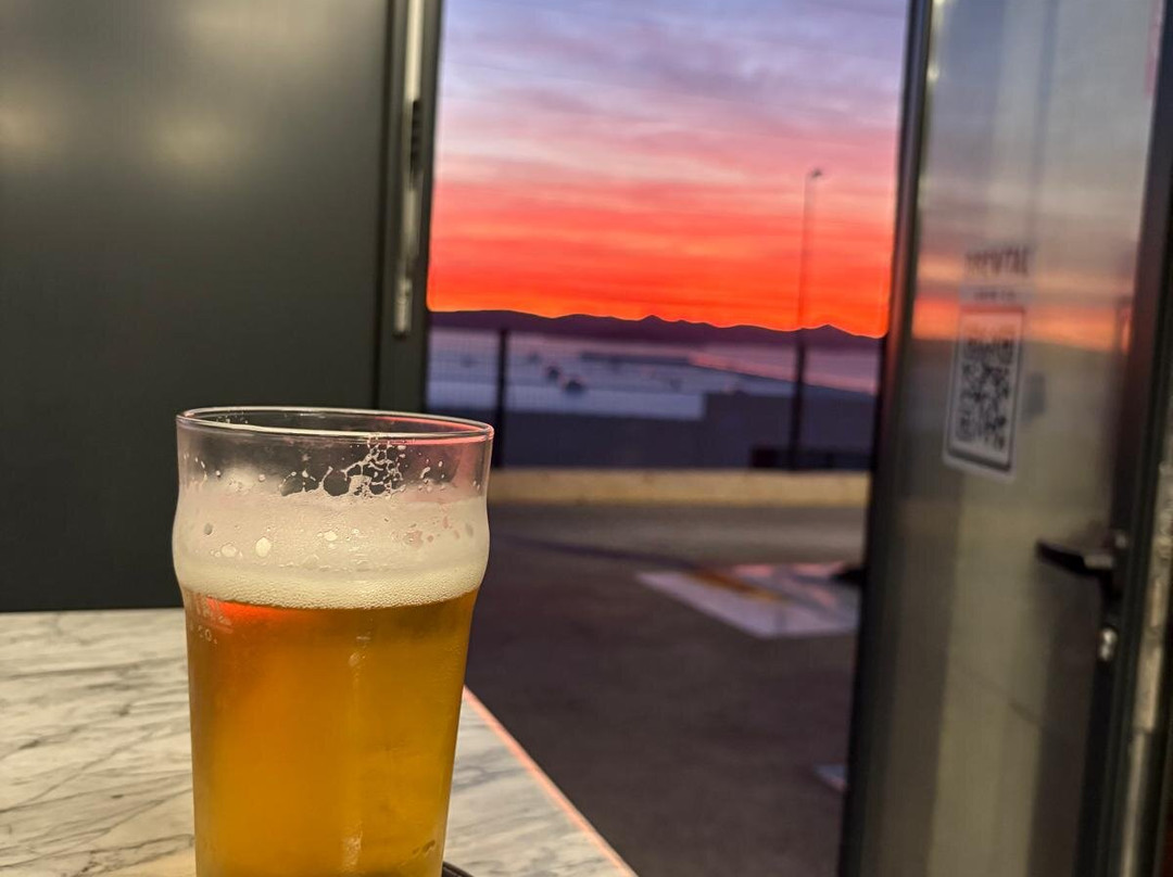 Brewtal Brew Co.-比比涅必去景点