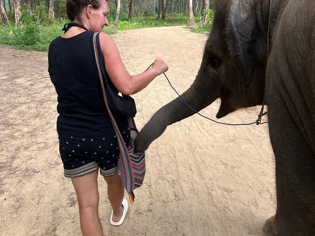 Khao Lak Elephant Home-拉克山必去景点