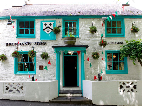 Brondanw Arms  Y Ring