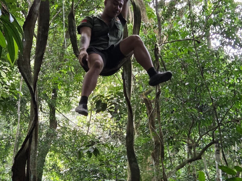 Sumatra orangutan escape-棉兰必去景点