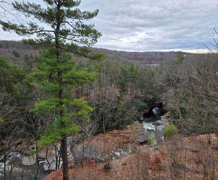 Nay Aug Park-斯克兰顿必去景点