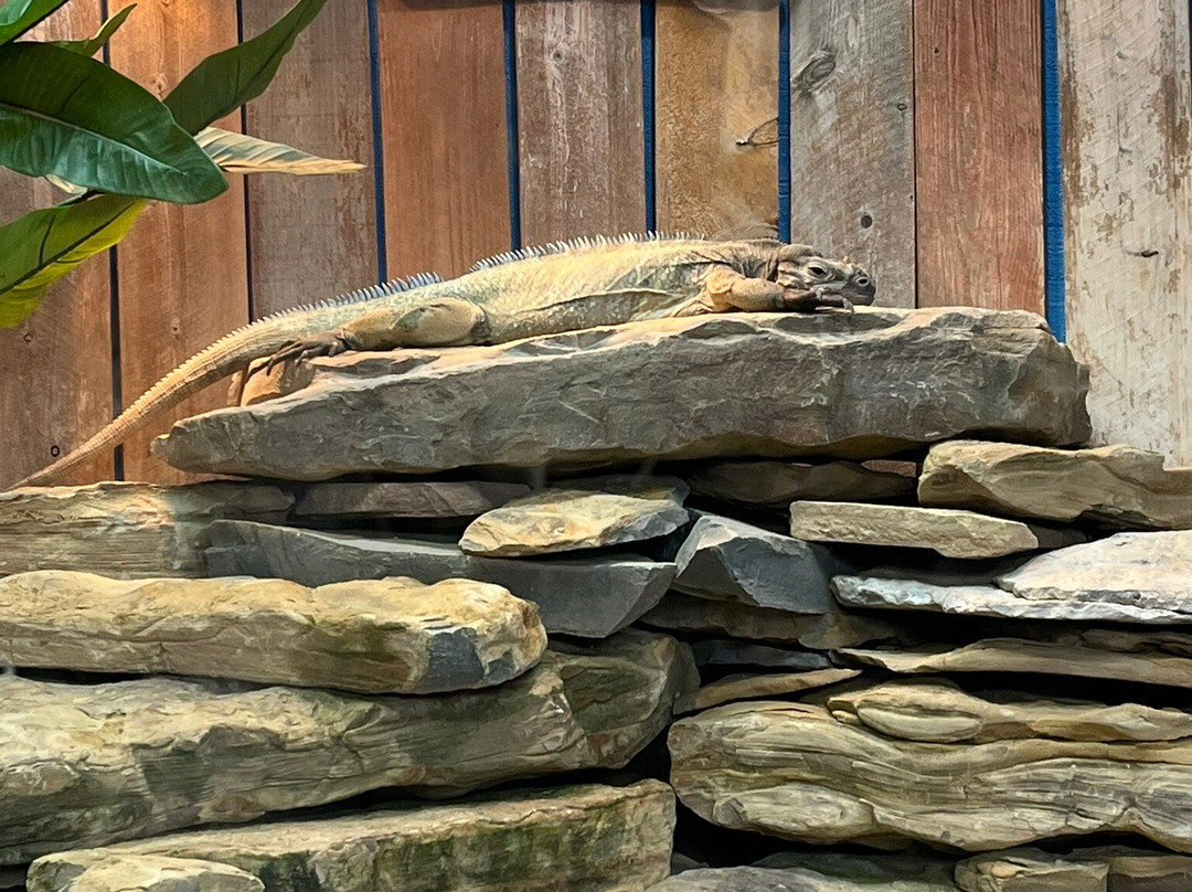 Newport Aquarium-Newport必去景点