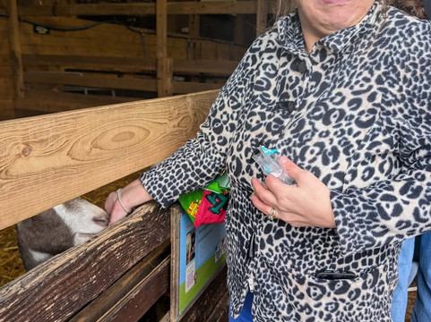 Pennywell Farm-Buckfastleigh必去景点