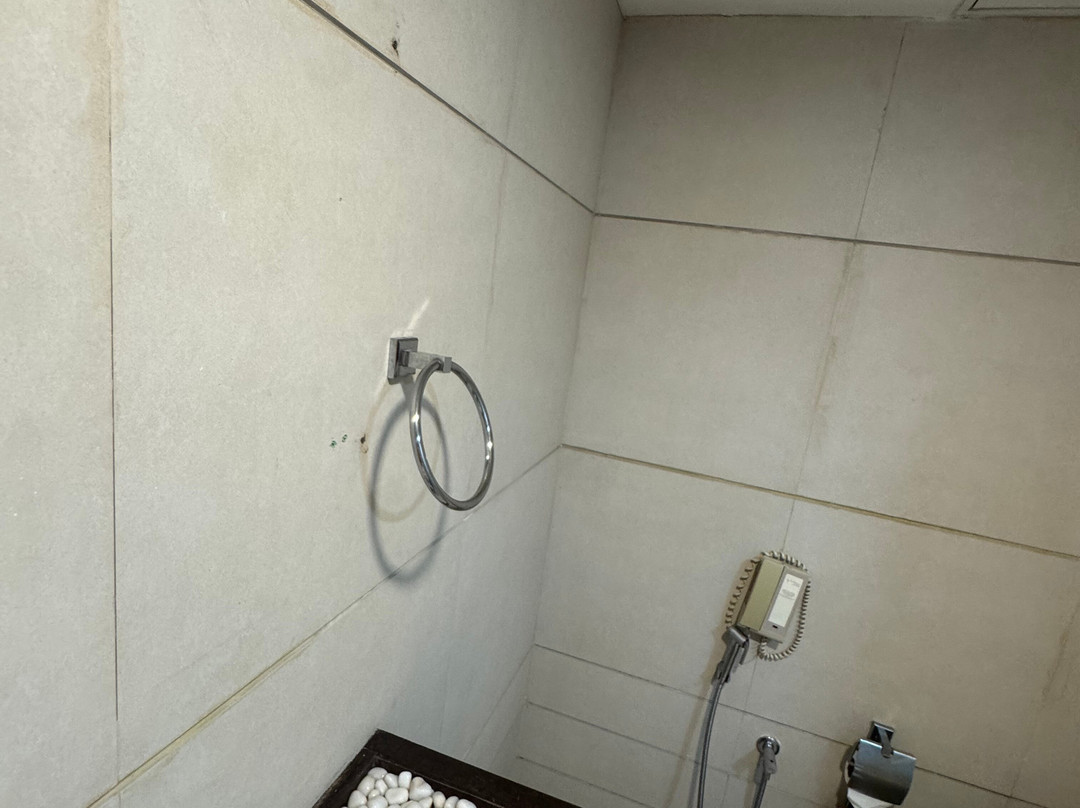 丽晶塔中央哈利姆加拉巴鲁奇酒店主图