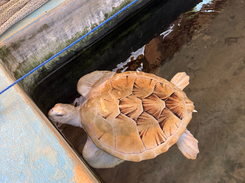 Nature Paradise Travels-科伦坡必去景点
