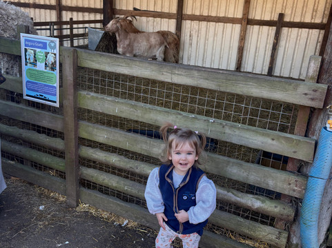 Thrift Farm-Whaddon必去景点