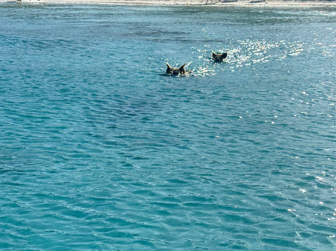 Great Guana Cay Adventures-Little Exuma必去景点