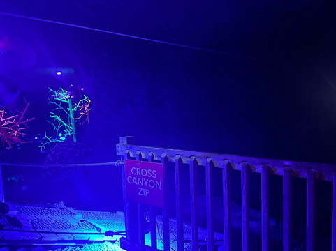 路易斯维尔巨洞-路易斯维尔必去景点