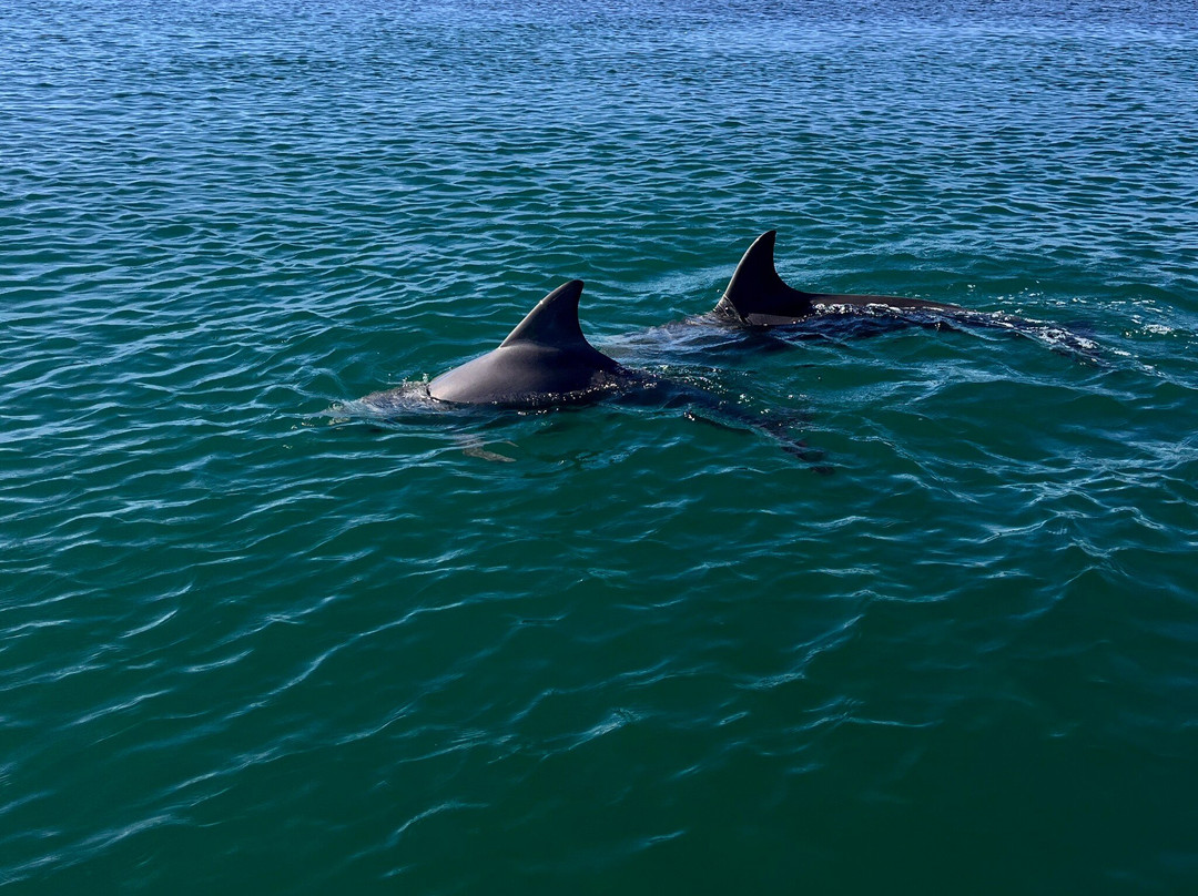 Augusta River tours-奥古斯塔必去景点