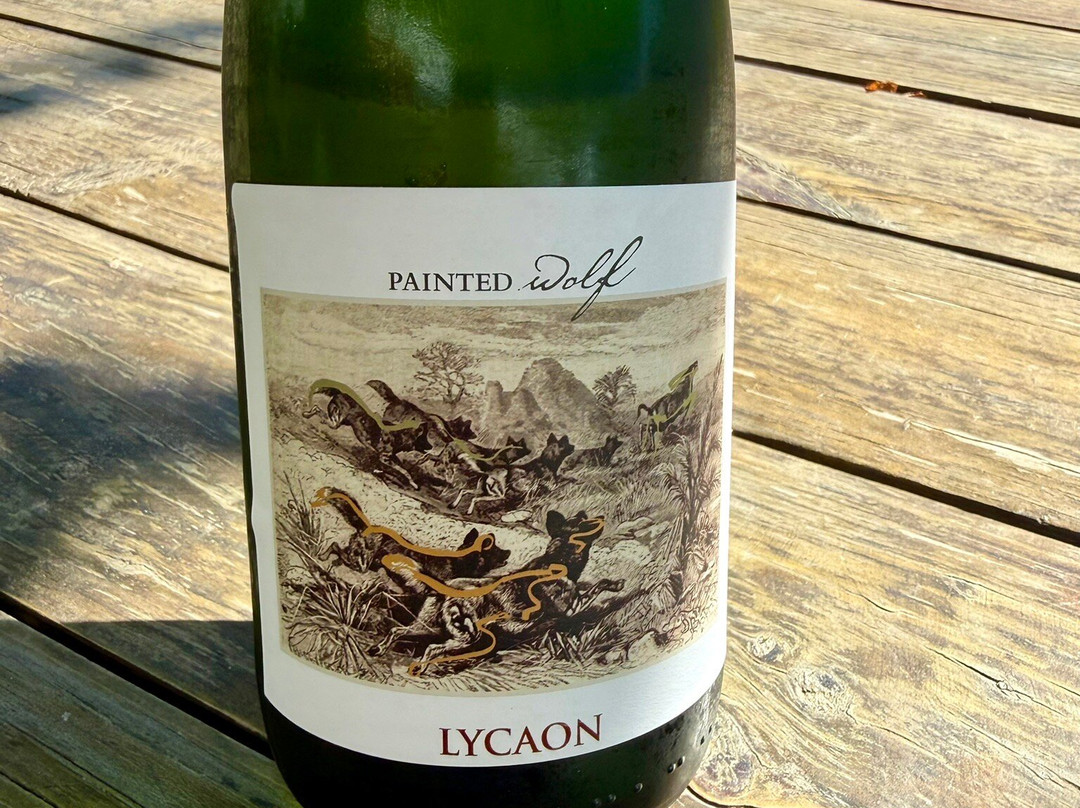 Painted Wolf Wines-帕尔必去景点