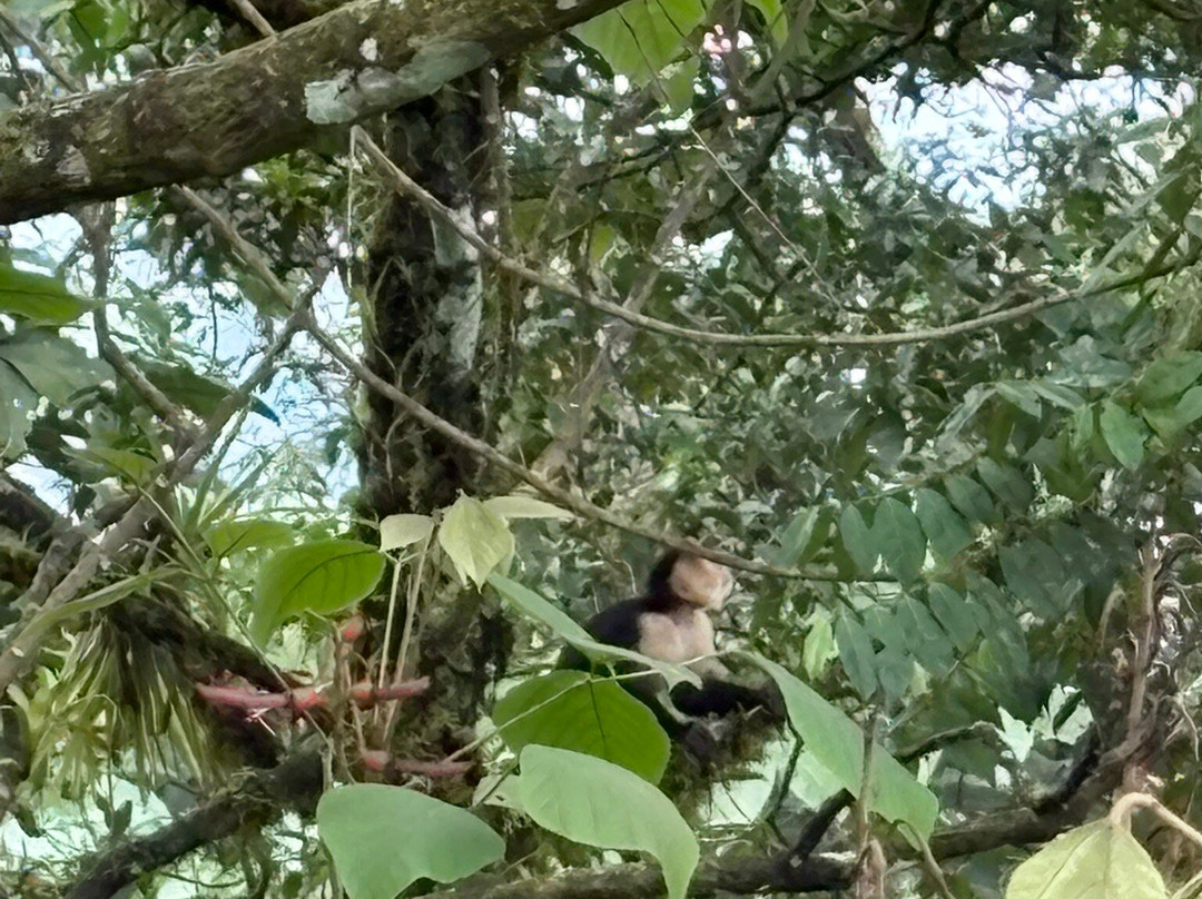 Maleku Tours-利比里亚必去景点