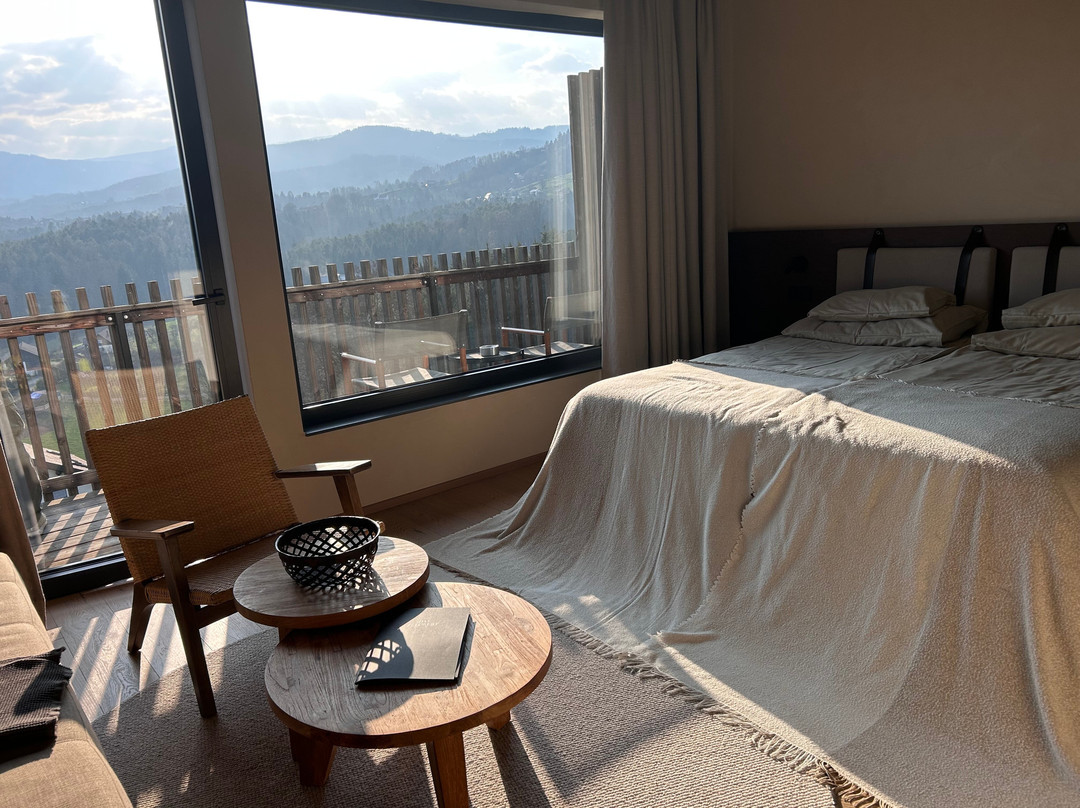 Boutiquehotel DAS ZEITWERT精品酒店主图