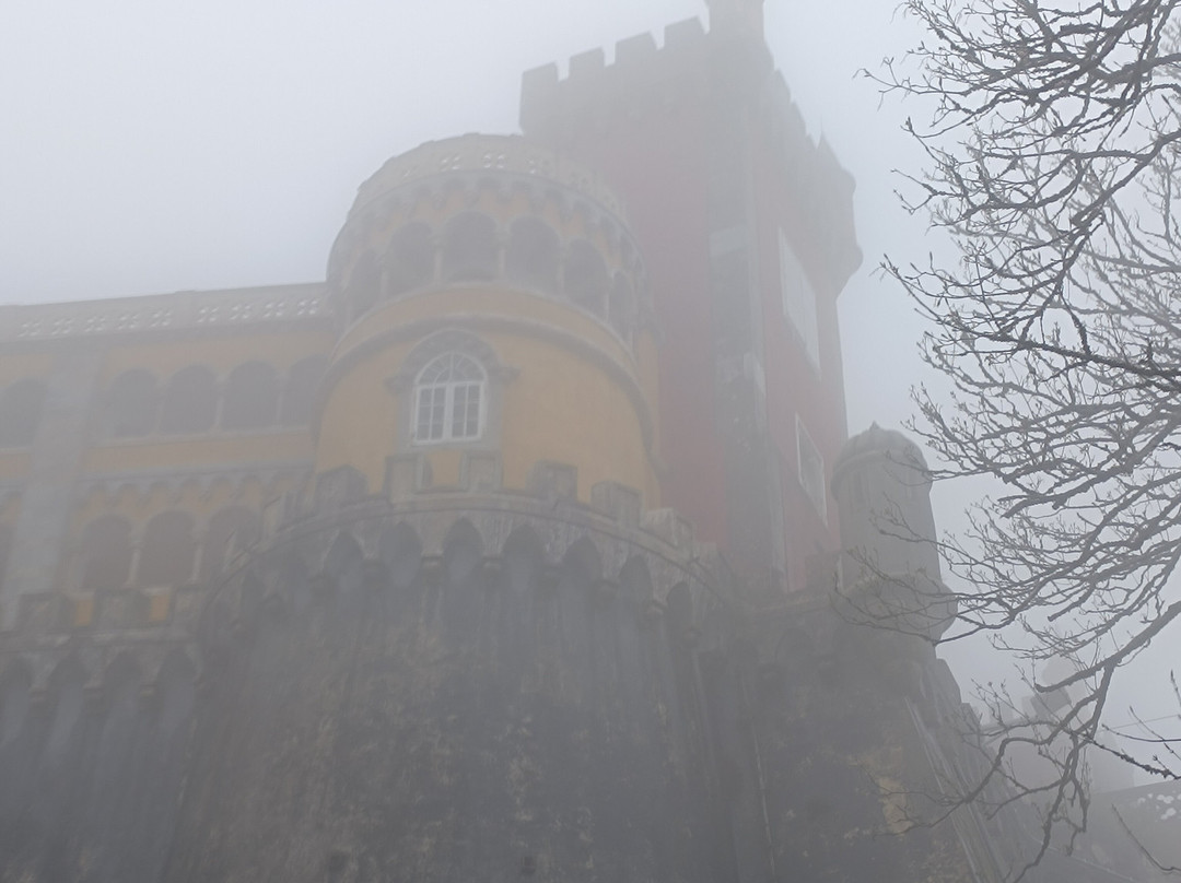 Living Tours Lisbon-里斯本必去景点