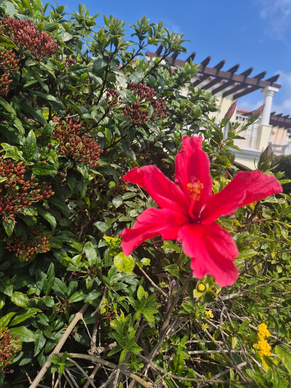 伊甸园别墅和公寓-官方