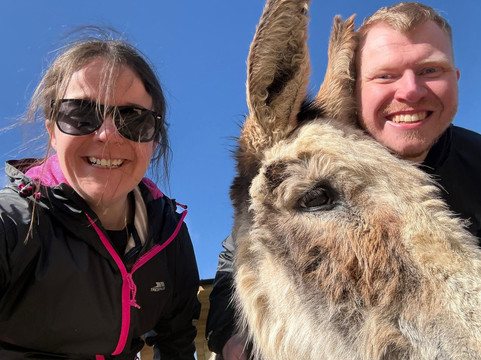 Barnhill Donkeys Retreat Sleagill