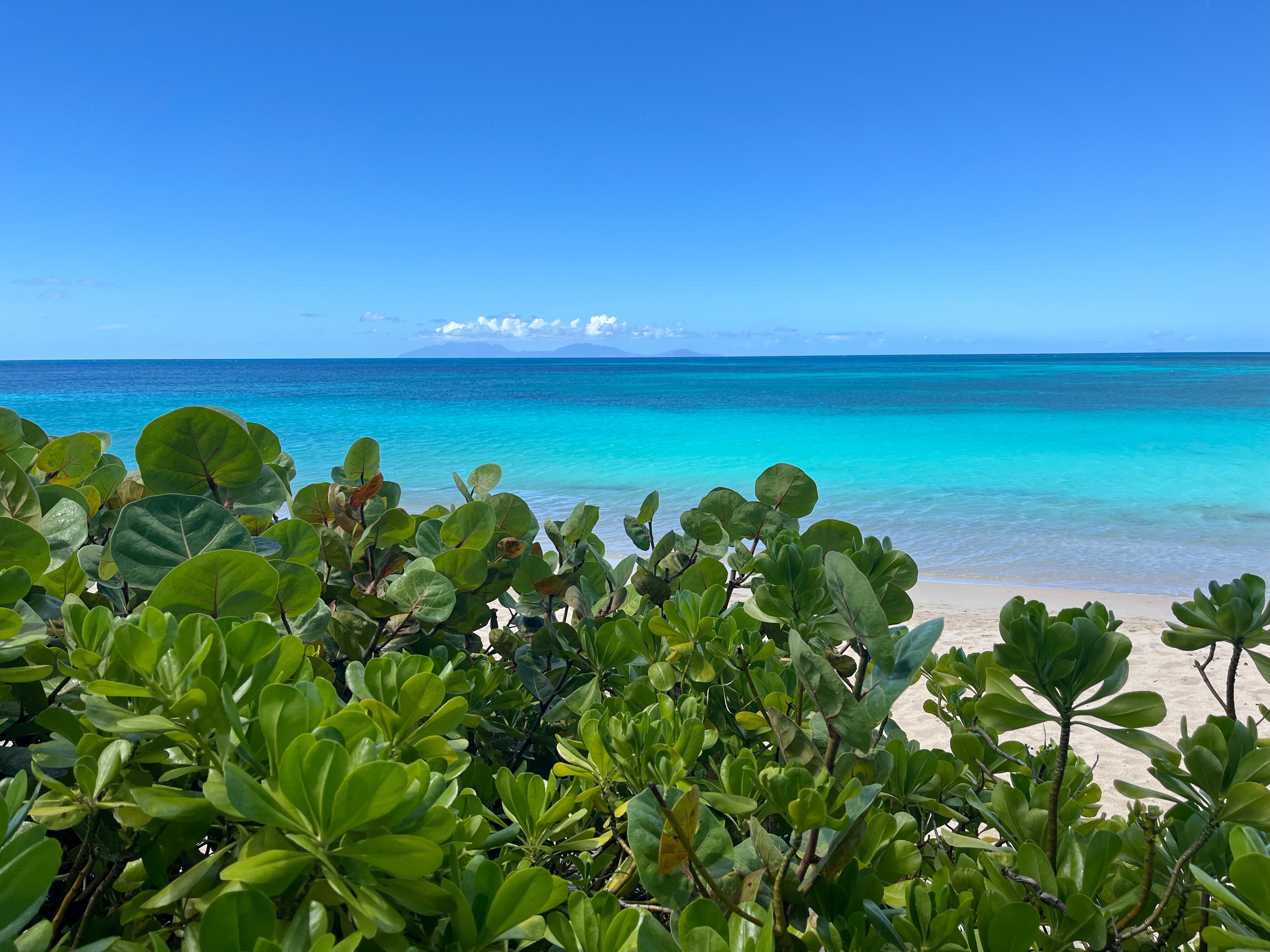 Keyonna Beach-官方