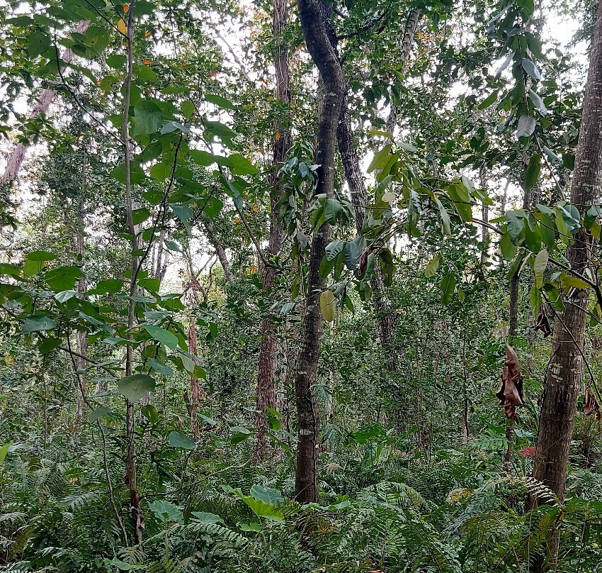 Veuve Nature Reserve-拉迪格岛必去景点
