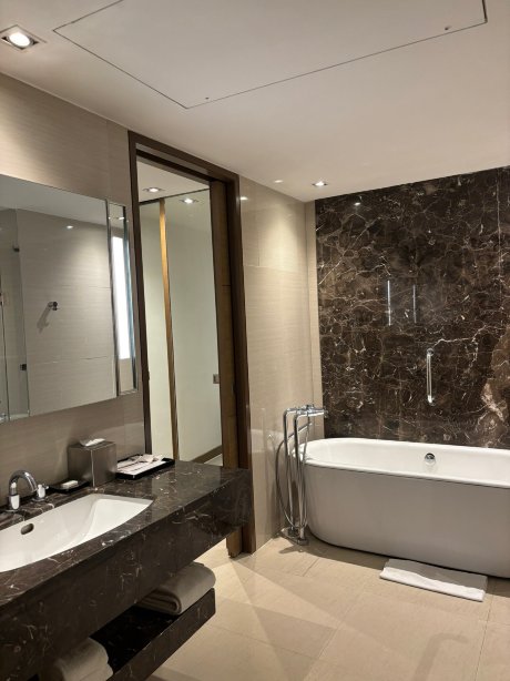 万怡酒店（阿格拉）万豪旗下-浴室