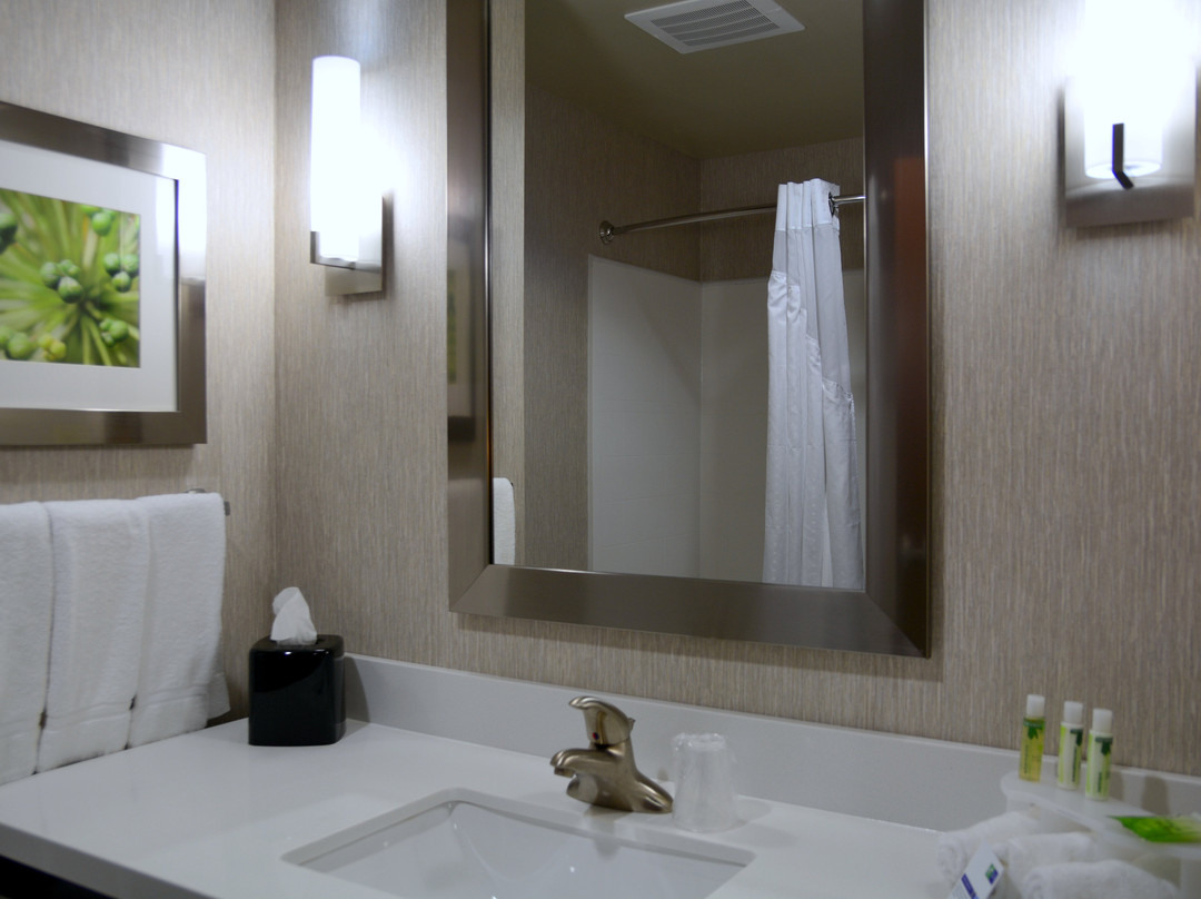 Magnolia酒店住宿-Holiday Inn Express & Suites Houston Nw - Tomball Area By IHG
