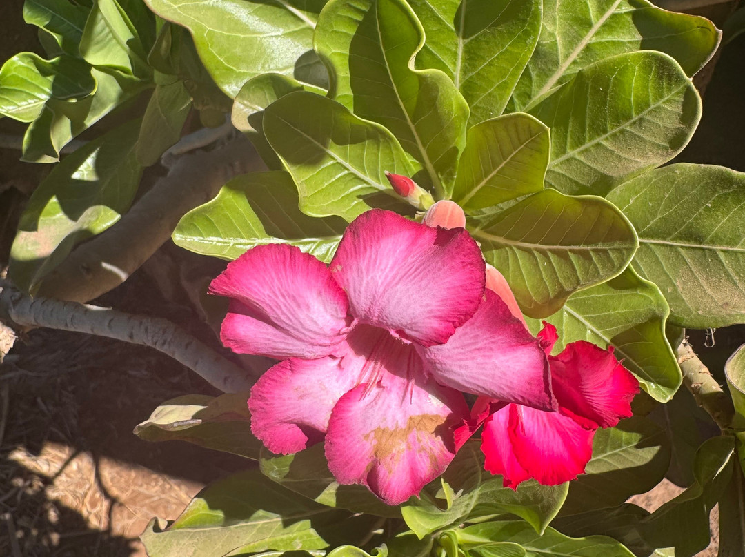 Viveiro, Botanical Garden & Zoo di Terra-圣塔玛丽亚必去景点